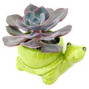 Turtle Pot for sale, Cute Ceramic Succulent Pot, Turtle Planter Decor, Craft Supplies, Succulent Gift Ideas, Turtle Succulent Pot