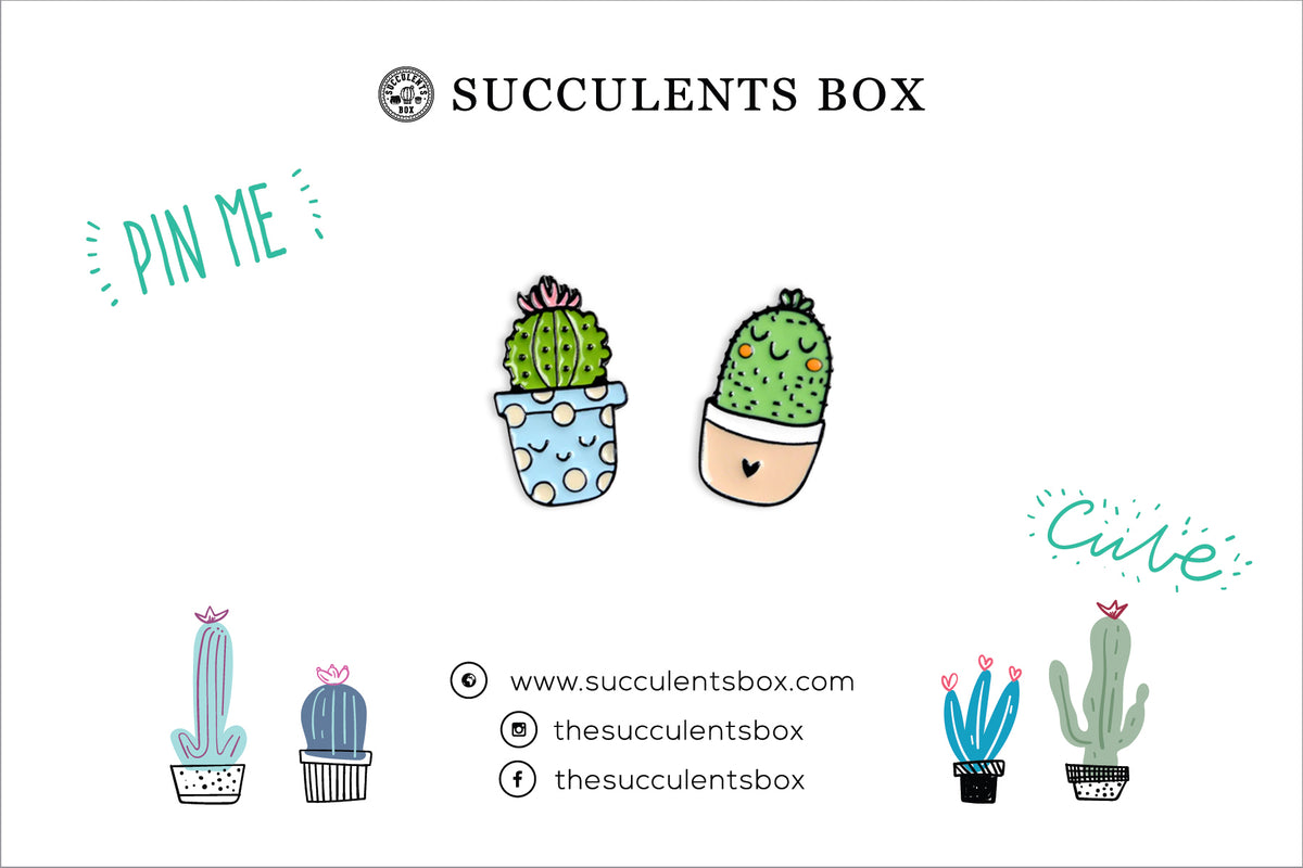 Funny Cartoon Potted Succulents Pin for sale, Cactus in a Pot Pin Badge, Succulent Gift Ideas