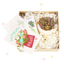 Valentines Day Gift Box, Plants Gift Boxes, Gift Ideas for 2024 Valentine, Valentine 2024 Gift for him