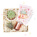 valentine gift ideas for him, valentine gift, best valentine gift for boyfriend, valentine gift ideas for her, valentine day gift, valentine gift for her, valentine gift box 2024