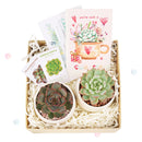 EcoFriendly Succulent Gift Box for Employee, Corporate Gift Succulents For Sale Online, Succulent Thank You Gift Ideas, Thank you gift for your staff in 2022, Customizable Gift Boxes for employees and clients, Office gift for employees, Employee appreciation day 2022 ideas, Succulent Plants for Clients &amp; Employees for sale