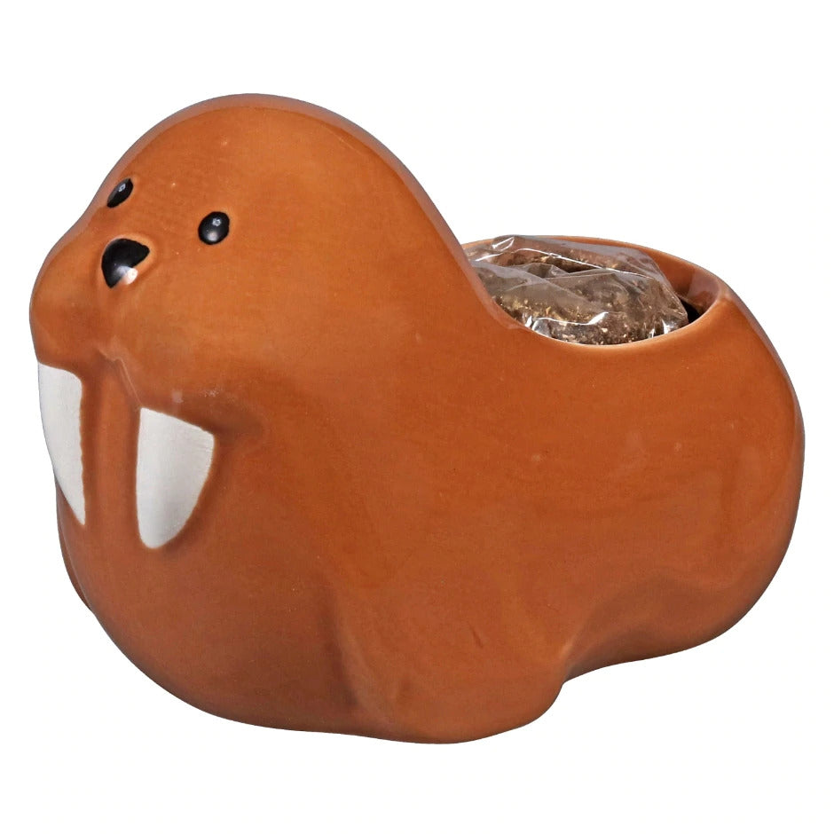 Ceramic Walruses Pot for sale, Cute Ceramic Succulent Pot, Walruses Planter Decor, Craft Supplies, Succulent Gift Ideas, Walruses Succulent Pot