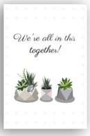 Thank you card for employee, Employee Appreciation Cards for sale, Corporate succulent gift with thank you card, Thank You Live Succulent Gift Box for sale, Succulent thank you cards with kraft envelope, Succulent thank you cards to suit any occasion, Staff Appreciation Card ideas, Thank you note to employee for a job well done, Thank you card for employee appreciation